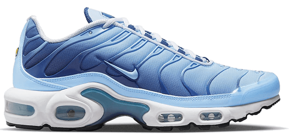 Nike Air Max Plus Bleu