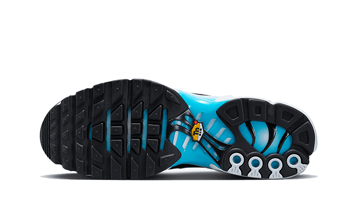 Nike Air Max Plus Bleu