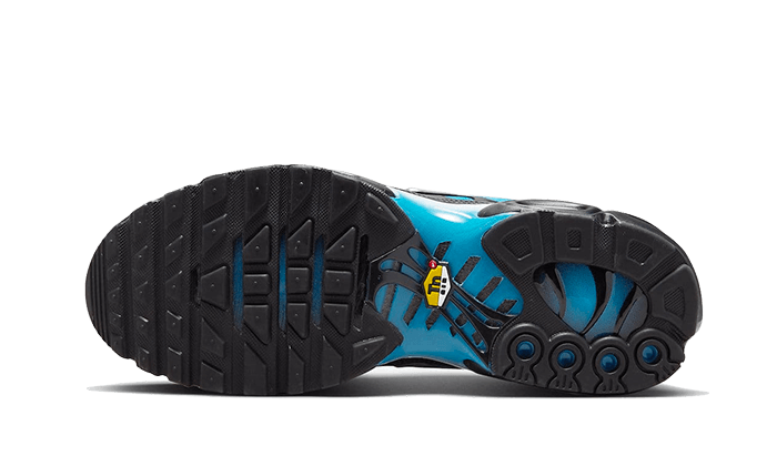 Nike Air Max Plus Bleu/Noir