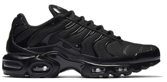 Nike Air Max Plus Noir