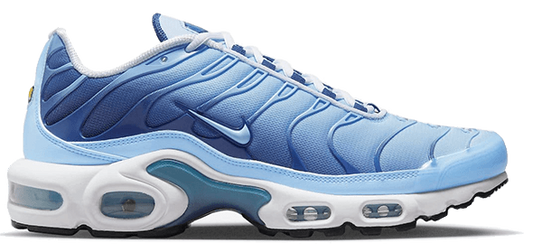 Nike Air Max Plus Bleu