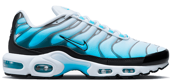 Nike Air Max Plus Bleu