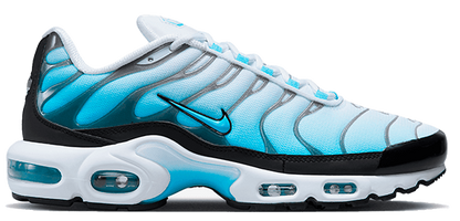Nike Air Max Plus Bleu