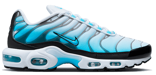Nike Air Max Plus Bleu