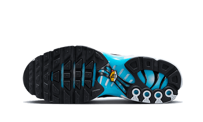Nike Air Max Plus Bleu