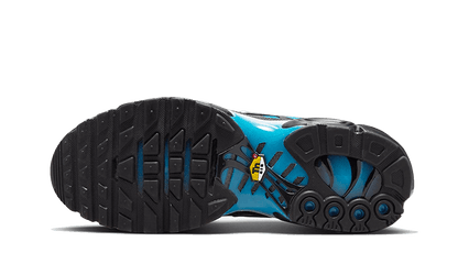 Nike Air Max Plus Bleu/Noir