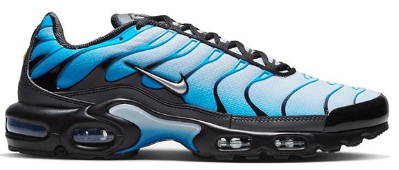Nike Air Max Plus Bleu/Noir